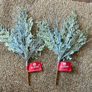 2 Bloom Room Holiday Picks